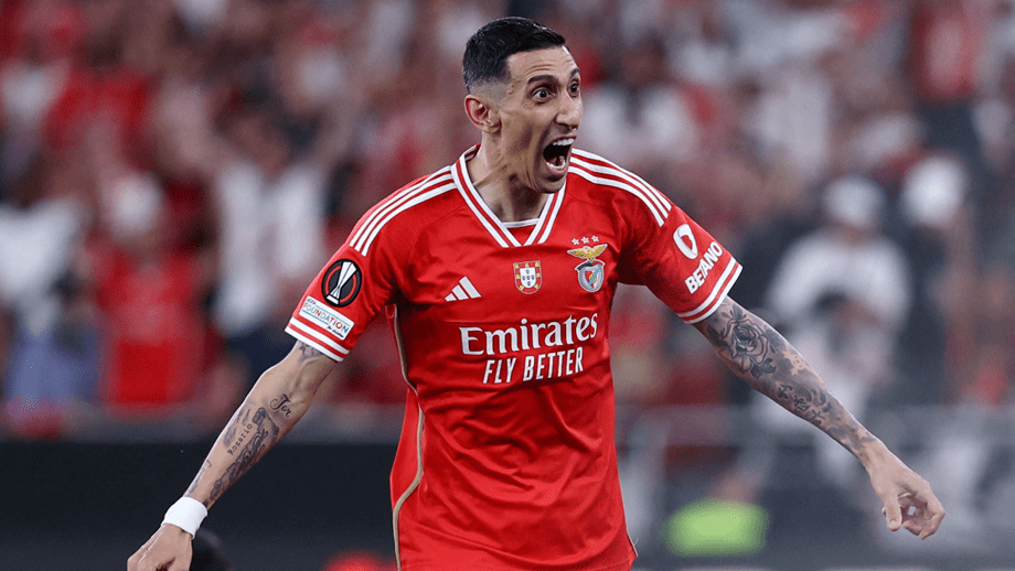 关于塞内加尔力克韩国，迪马利亚惊艳世界的信息