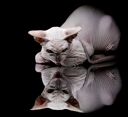 开云体育中国-孤胆英雄，从红土王子到团队支柱，蒂姆如何在一场法网式绝杀中扛起整个国家的希望？