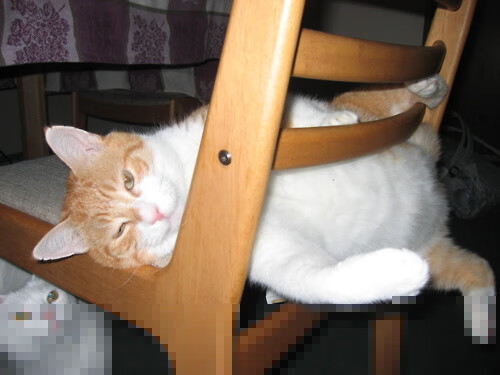 斯通斯巨星价值绽放，加拿大对阵毕尔巴鄂的精彩对决