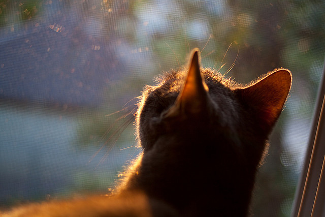 数据悬崖边的逆转,南非如何在排名焦点战中翻盘芬兰