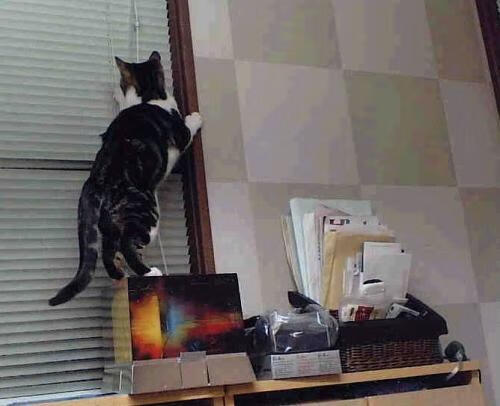 巫师托尼施魔法!维京人踏平安菲尔德