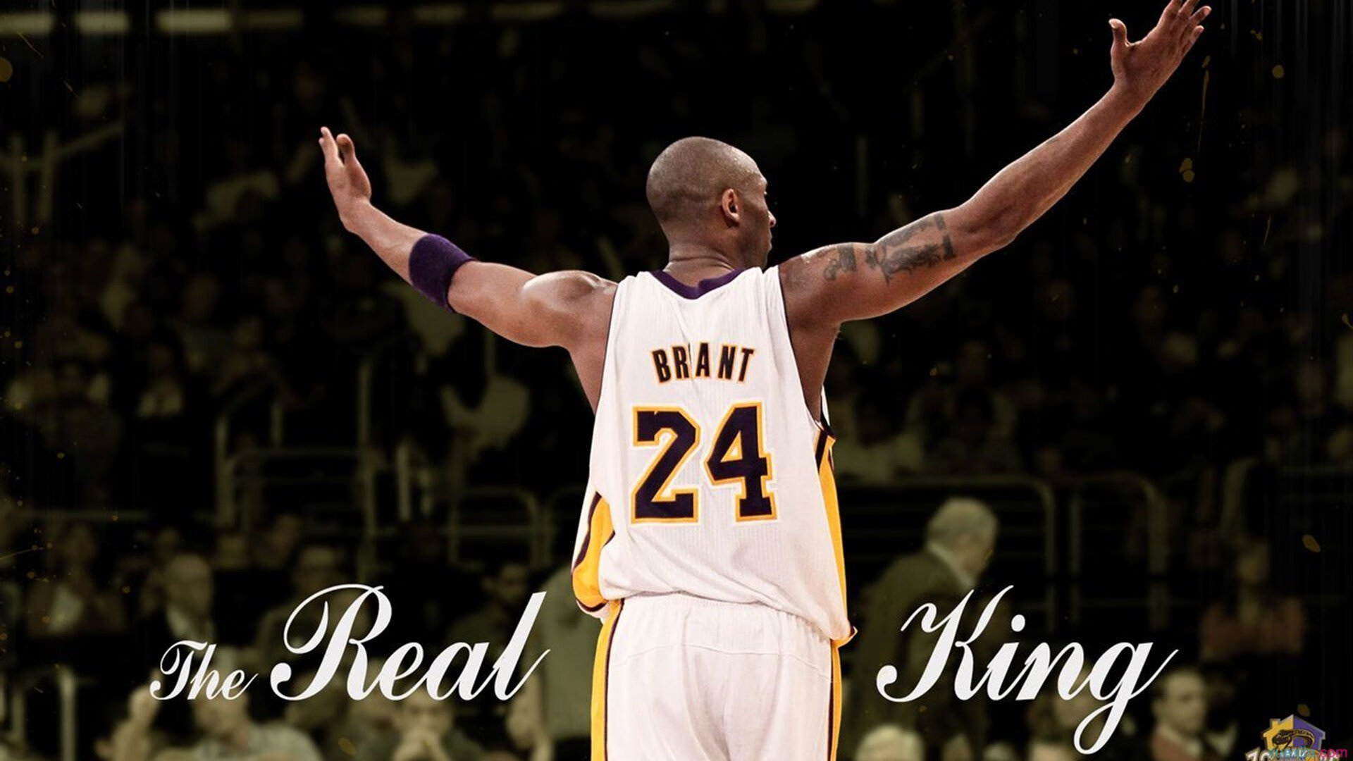 开云体育中国-沉默的钥匙，霍勒迪如何用无声的智慧主宰掘金火箭之战