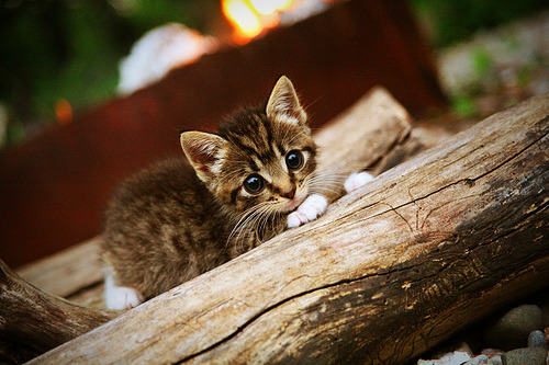 双线战报,卡塞米罗主宰中场,玻利维亚爆冷掀翻波兰