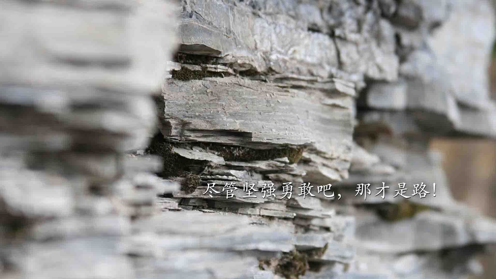 莱奥的星火,照亮奥运关键之夜的孤勇者