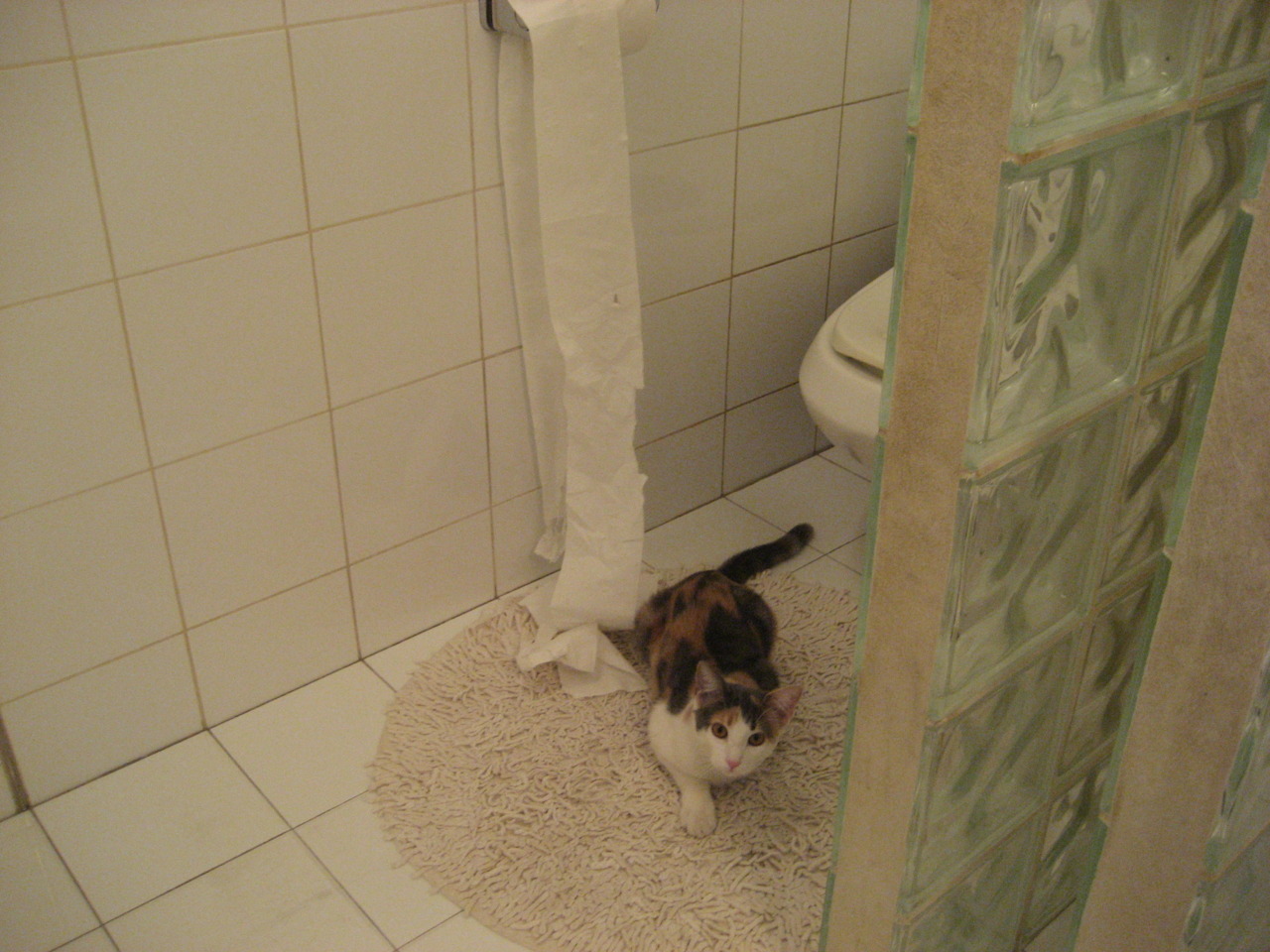 开云体育-足球世界的双向革命，贝蒂斯血拼沙特资本，萨卡诠释青训力量