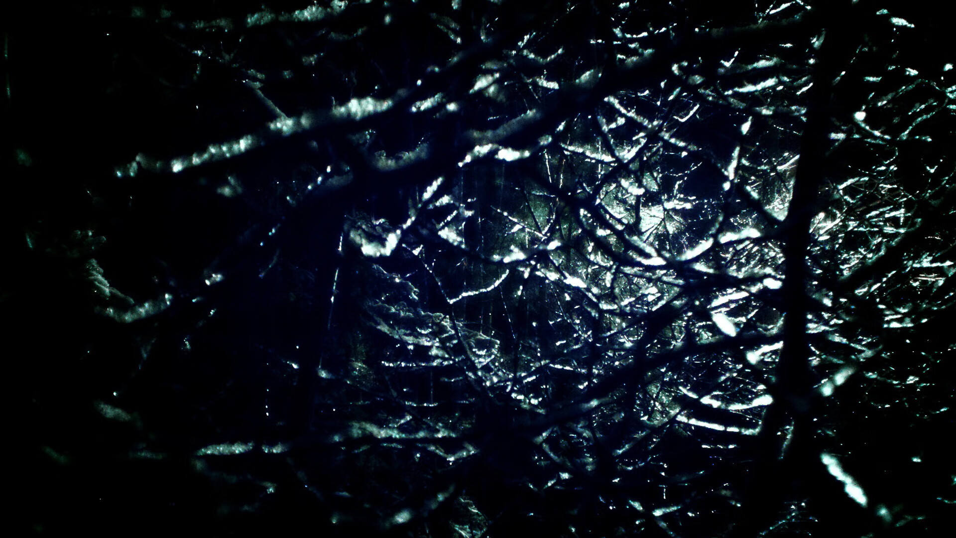 开云体育-卡马文加的号角，当尤文铁骑在格隆瓦尔德斩落波兰翼骑