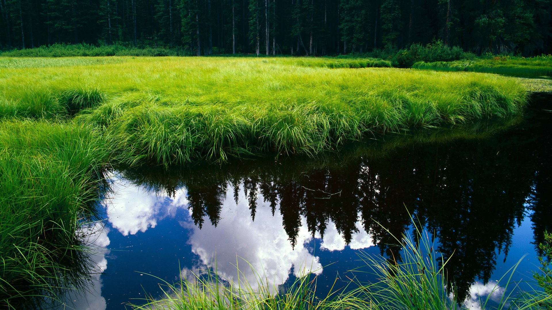 骑士再斩勇士，米切尔封神之战