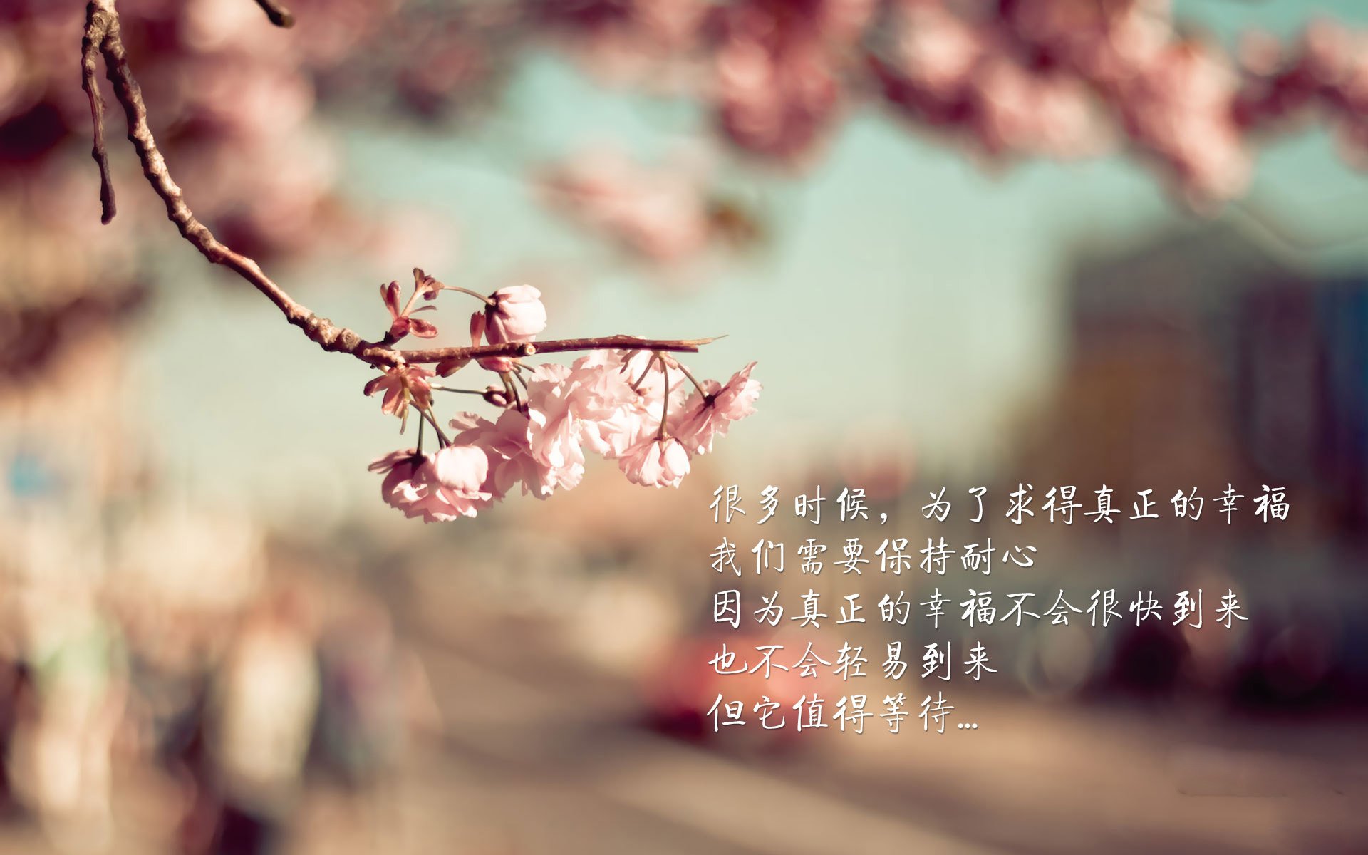 东契奇撕裂寂静，当数据神话破裂，他在最后七分钟成为唯一的神