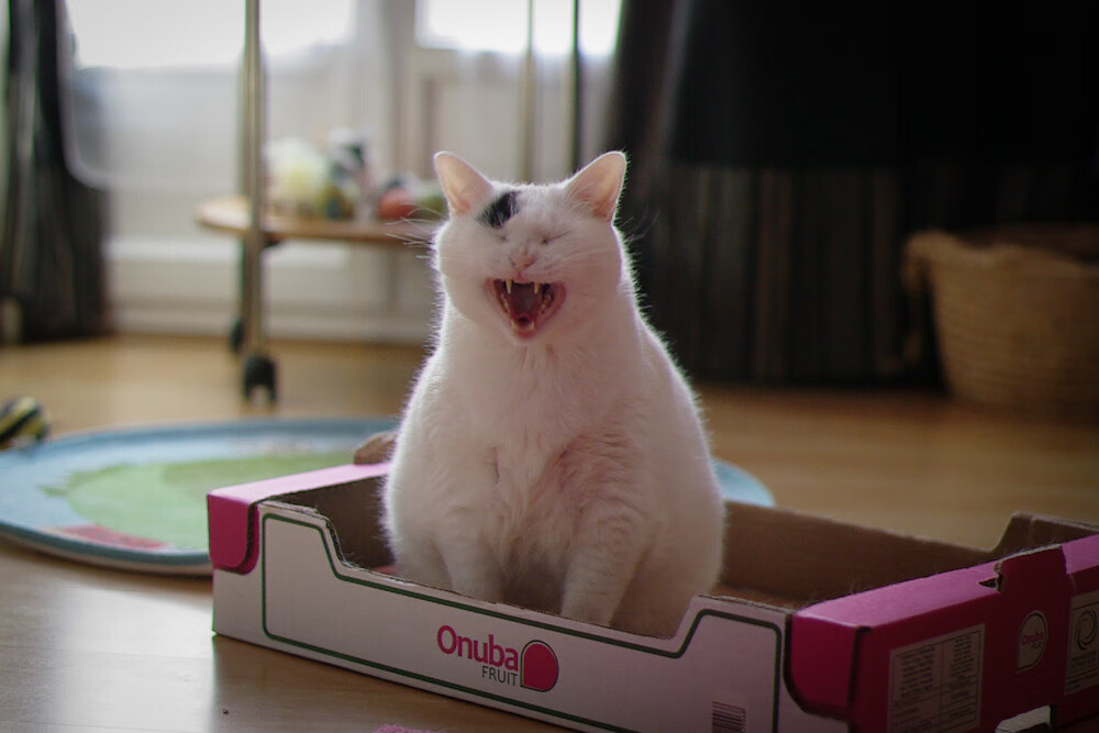 意甲德比夜，米切尔一剑封喉，这就是1亿欧元的价值