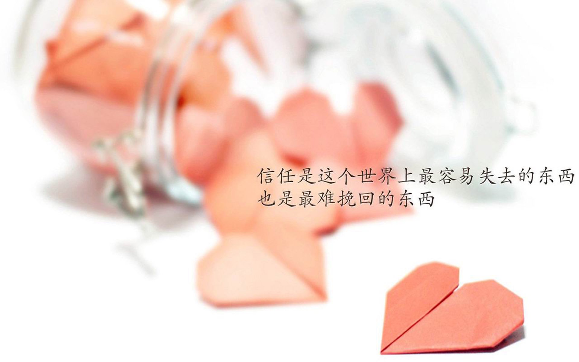 2026世界杯B组风云，阿方索·戴维斯主宰紧凑战局，伊朗力克波兰上演唯一剧本